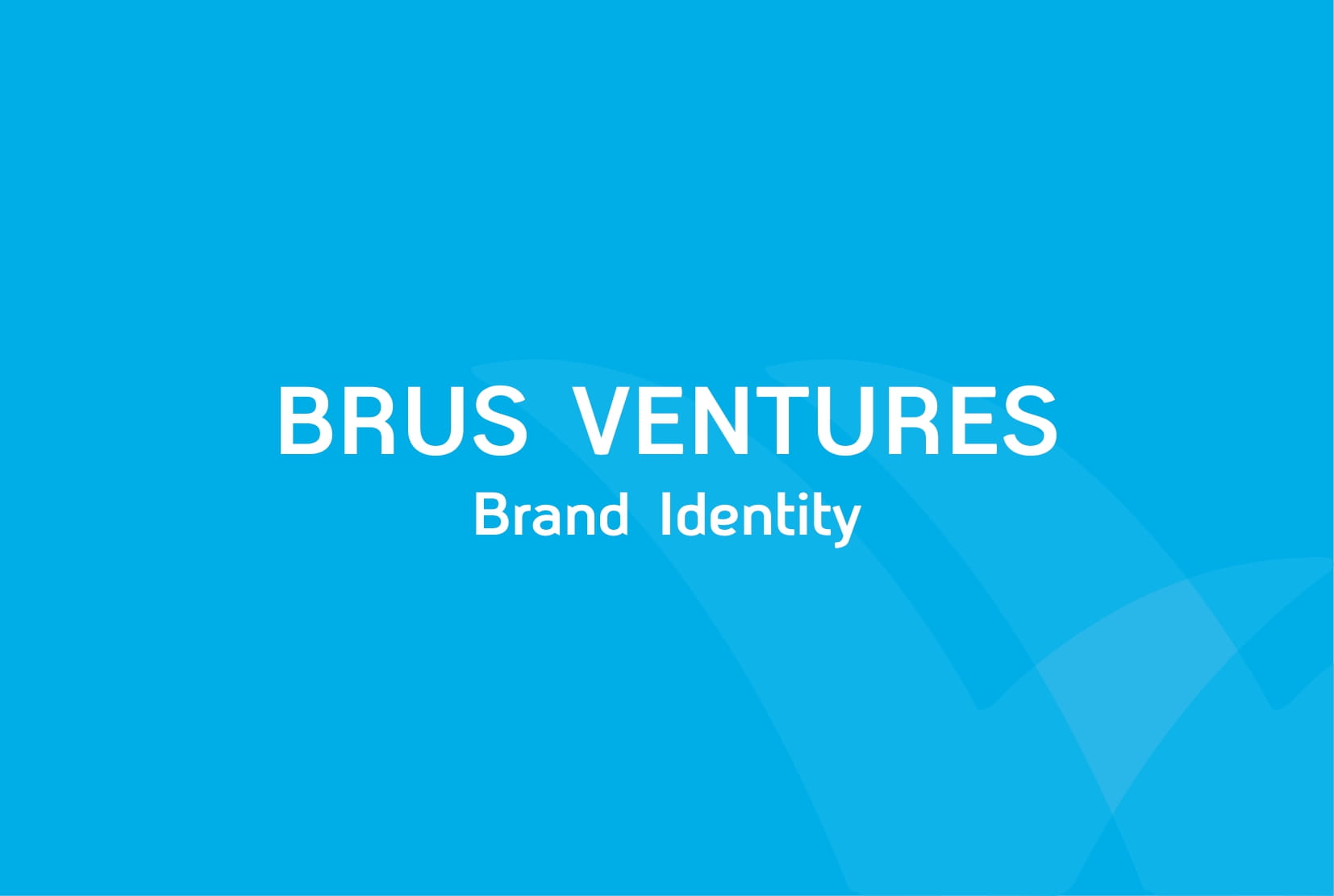 Brus Ventures Branding