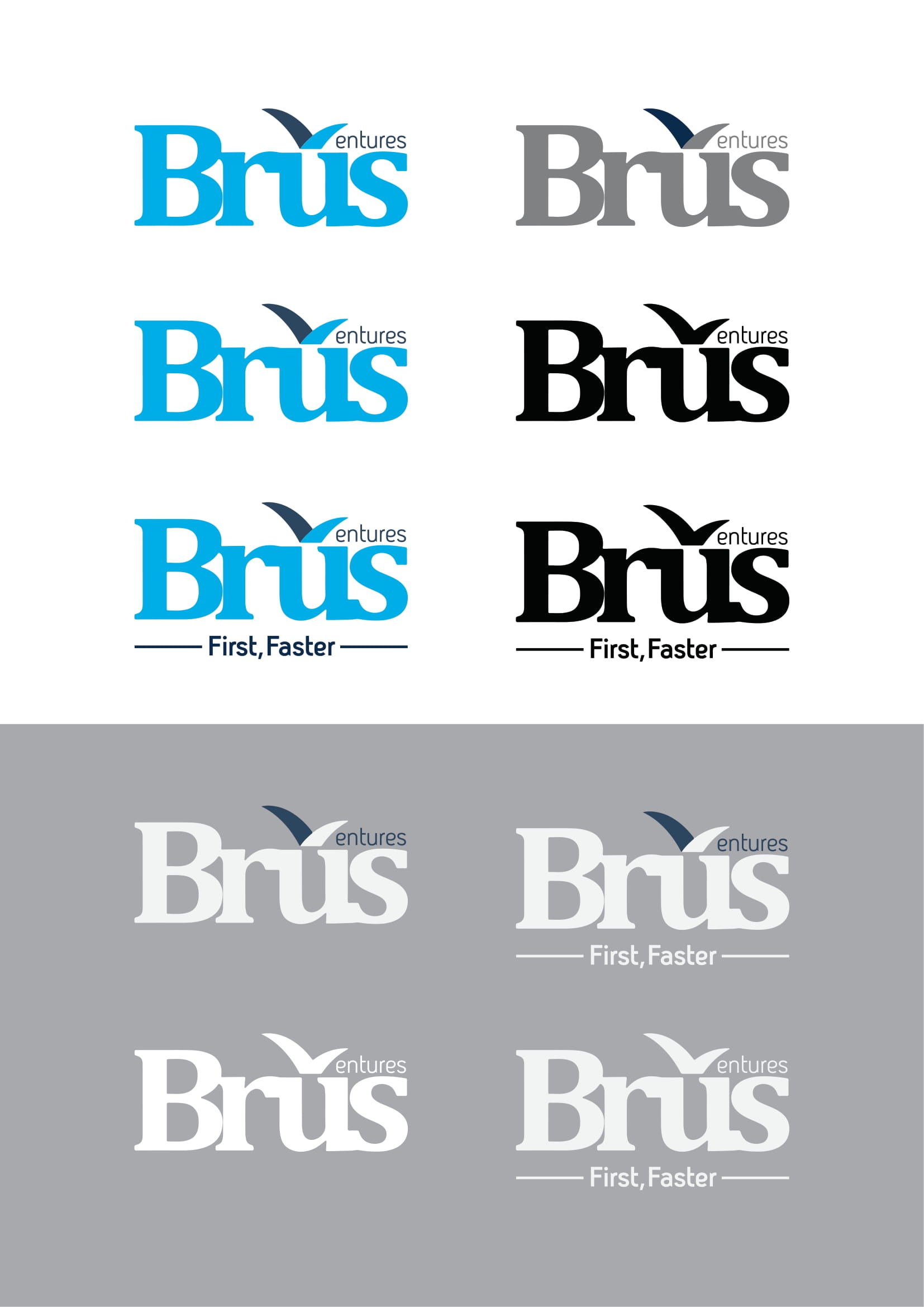 Brus Ventures Branding